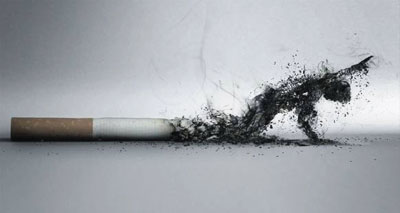 6 ملايين وفاة سنوياً بسبب التدخين 