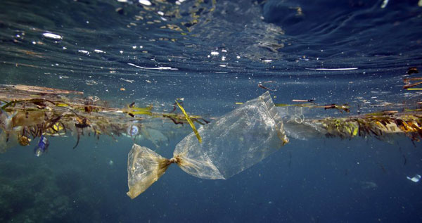 Pollution des océans