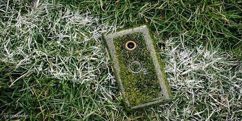 هاتف ذكي مصنوع من العشب
