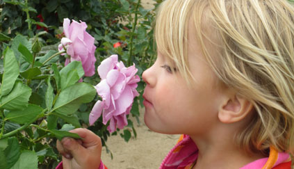 Modified yeast perfume: What the future smells like