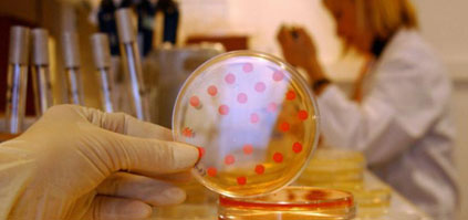 Des microbes résistants aux antibiotiques trouvés chez une population indigène isolée d’amazonie