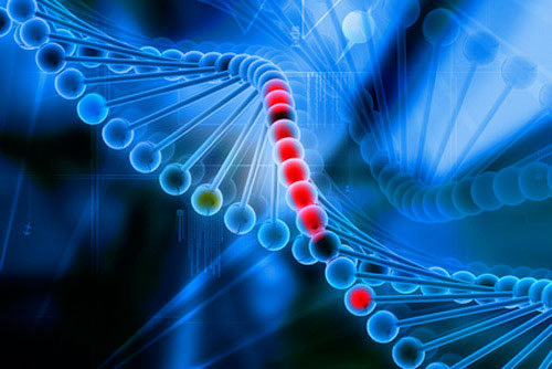 علماء يناقشون قضية الاخلاق في تكنولوجيا تغيير الجينات