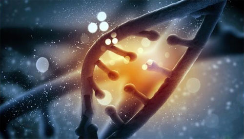 الهندسة الوراثية للأجنة واجب أخلاقي