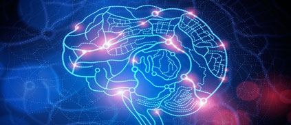 A first big step toward mapping the human brain