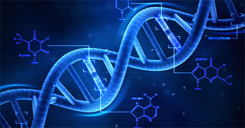 العثور على تعديل جيني جديد يوسع دائرة وظائف الأحماض الأمينية