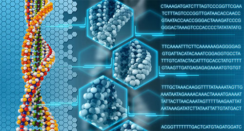 human-genome-f