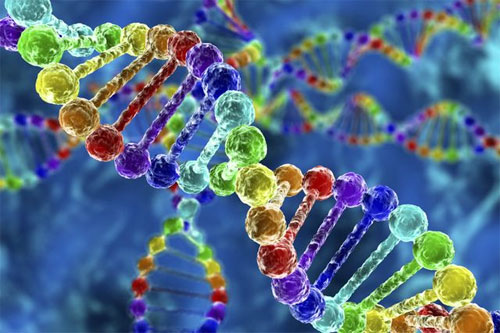 مشروع أوروبي يرصد دور الجينات المنفردة في نشوء الأمراض