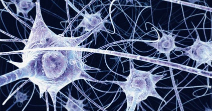 Découverte sur la mémoire : un souvenir lié à des neurones individuels
