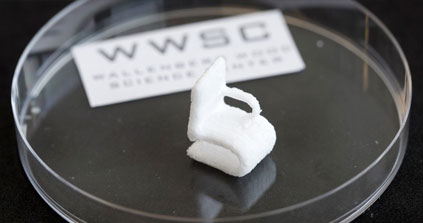 Impression 3D : de la cellulose comme encre