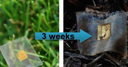 Electronique : un transistor fabriqué en cellulose