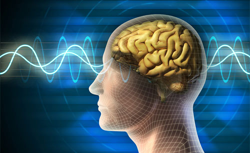 علماء يستخدمون موجات المخ الكهربية لمساعدة مرضى الشلل