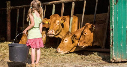 Dirty farm air may ward off asthma in children