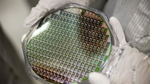 تجارب ألمانيّة لاستخلاص الجرمانيوم من النباتات