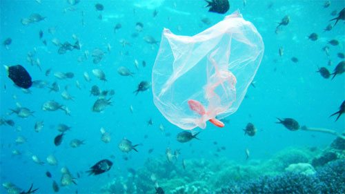البلاستيك .. خطر دائم على الكائنات البحرية