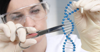 US scientists urge ban on human genetic modification