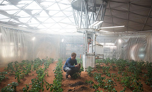 ناسا تسعى لاختبار زرع البطاطا على المريخ
