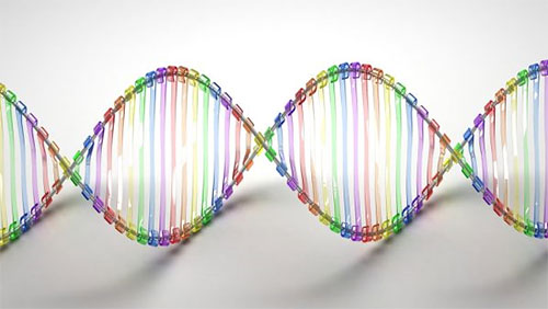 «مايكروسوفت» تختبر تخزين البيانات في الحمض النووي الصناعي