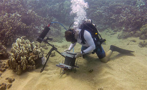 مجهر جديد يكشف أسرار الحياة البحرية في قاع المحيطات