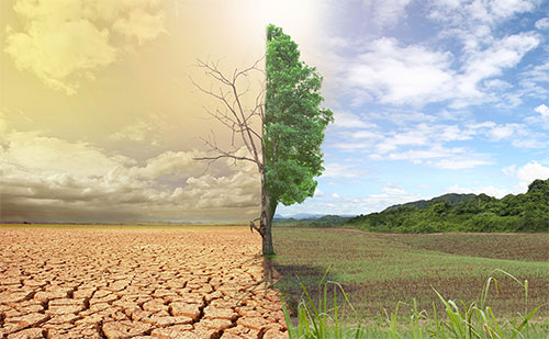أثر التغير المناخي على الزراعة حول العالم