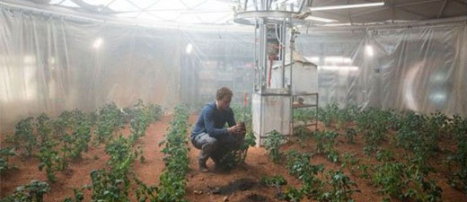 Faire pousser des patates sur Mars pourrait fonctionner, selon la Nasa