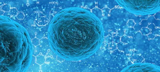 الخلايا الجذعية مصدر جديد للدماء البشريةً!