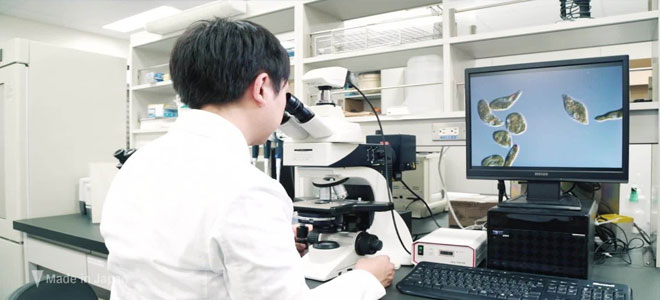 باحثون في جامعة يابانية يخترعون جهازاً لرصد السرطان