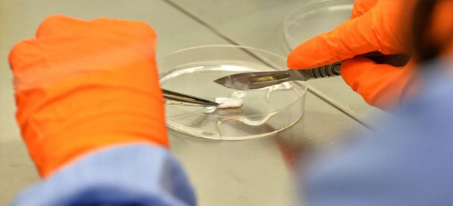 استخدام تقنيات الطباعة المجسمة لصناعة مواد بيولوجية تشبه الأنسجة البشرية