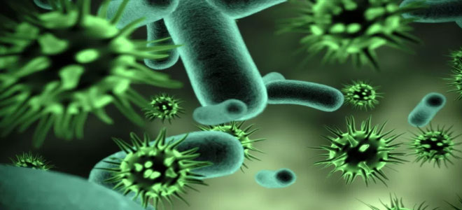 قائمة عالمية بعشرة فيروسات قاتلة تهدد البشرية
