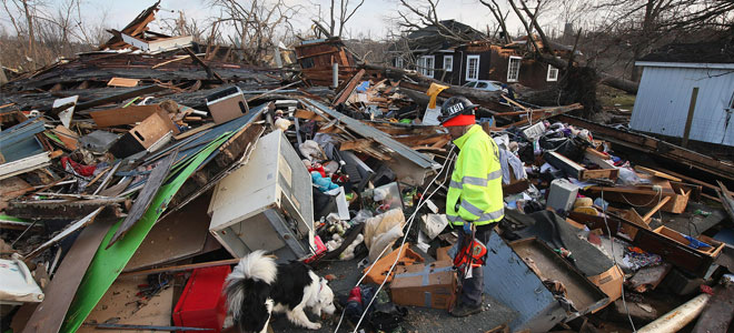 باحثون في سويسرا يبتكرون "كلبا إلكترونيا" لإنقاذ ضحايا الكوارث