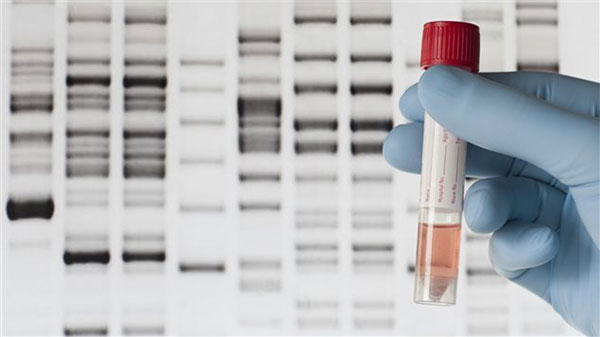 Tests génétiques : bientôt des bébés à la carte ?