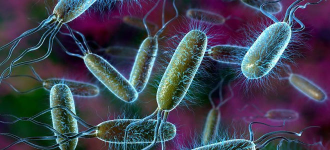 علماء يفكون الشفرة الجينية لأكثر من 3000 بكتيريا خطيرة