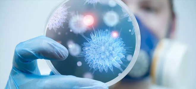 دراسة: اكتشاف فيروس قد يقضي على خلايا السرطان تماماً