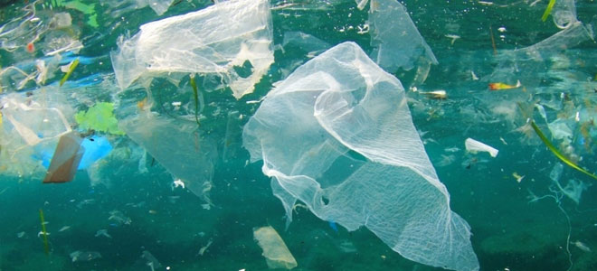 كائنات دقيقة تنتج البلاستيك